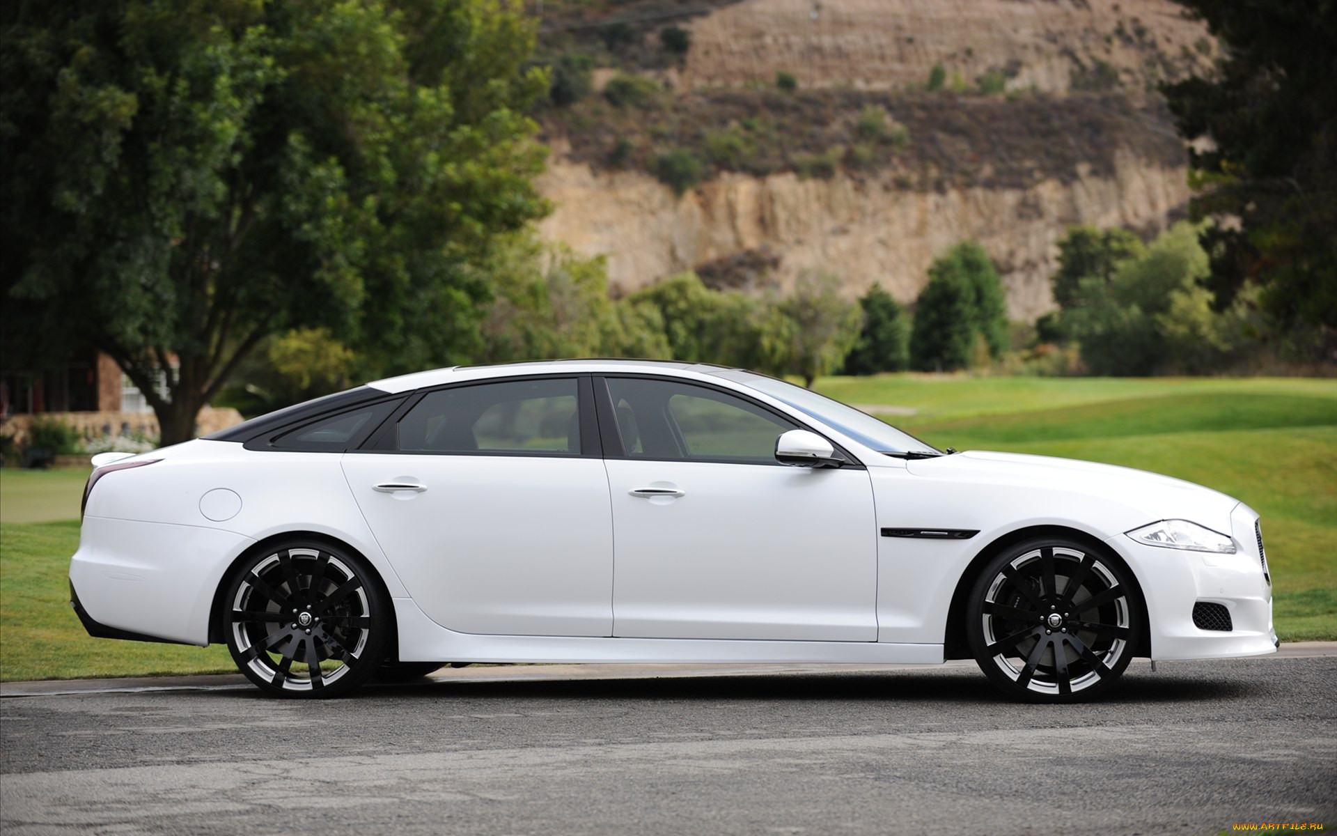 , jaguar